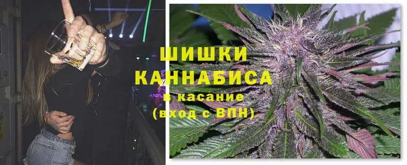 где найти   Белозерск  Каннабис White Widow 